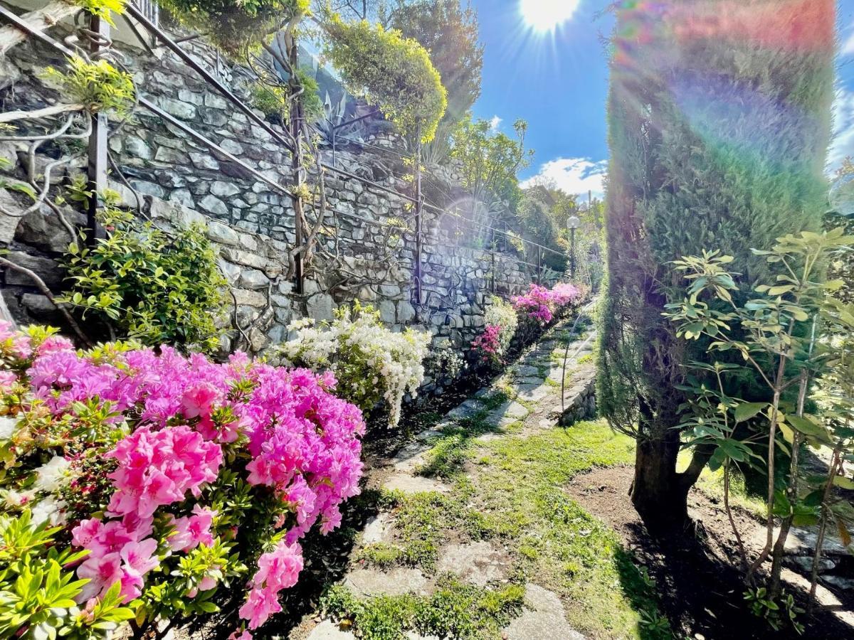 Eden Sul Lago Di Como Нессо Екстер'єр фото
